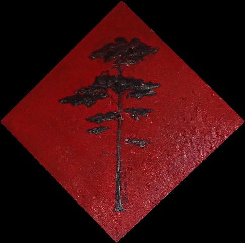 Pin - Acrylique 2008 - 20x20cm